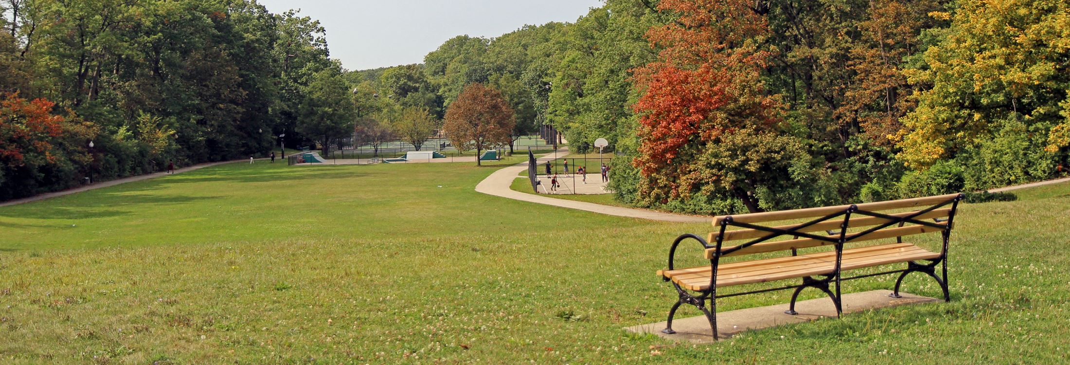 park